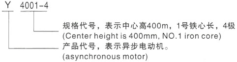 西安泰富西玛Y系列(H355-1000)高压YR5602-6/900KW三相异步电机型号说明